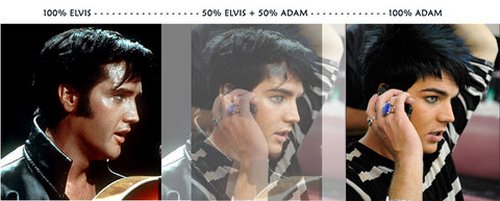 elvisadam