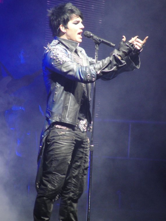 adam31 adam31